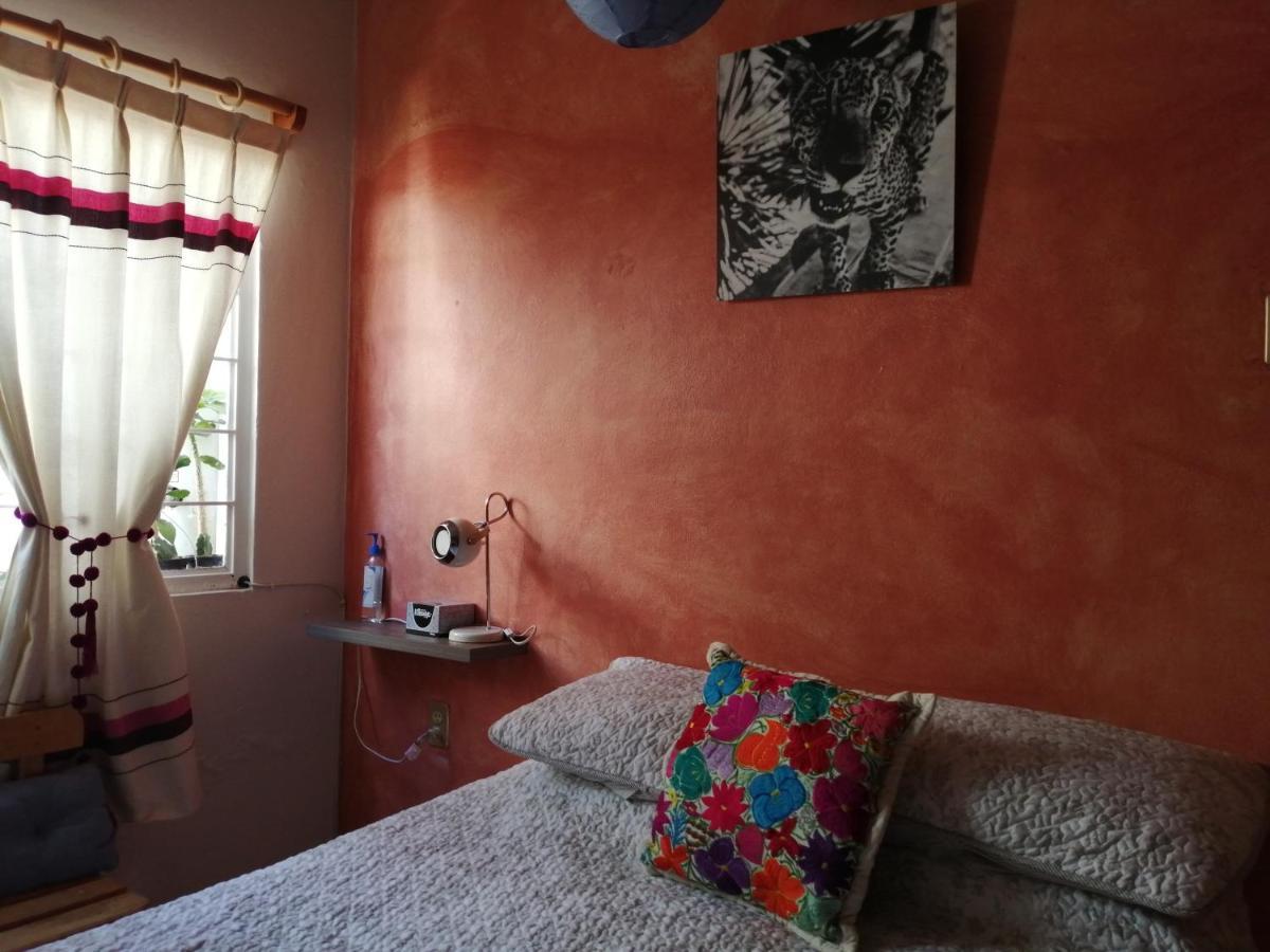 Casa Mixteca Santo Domingo Oaxaca Villa Exterior foto