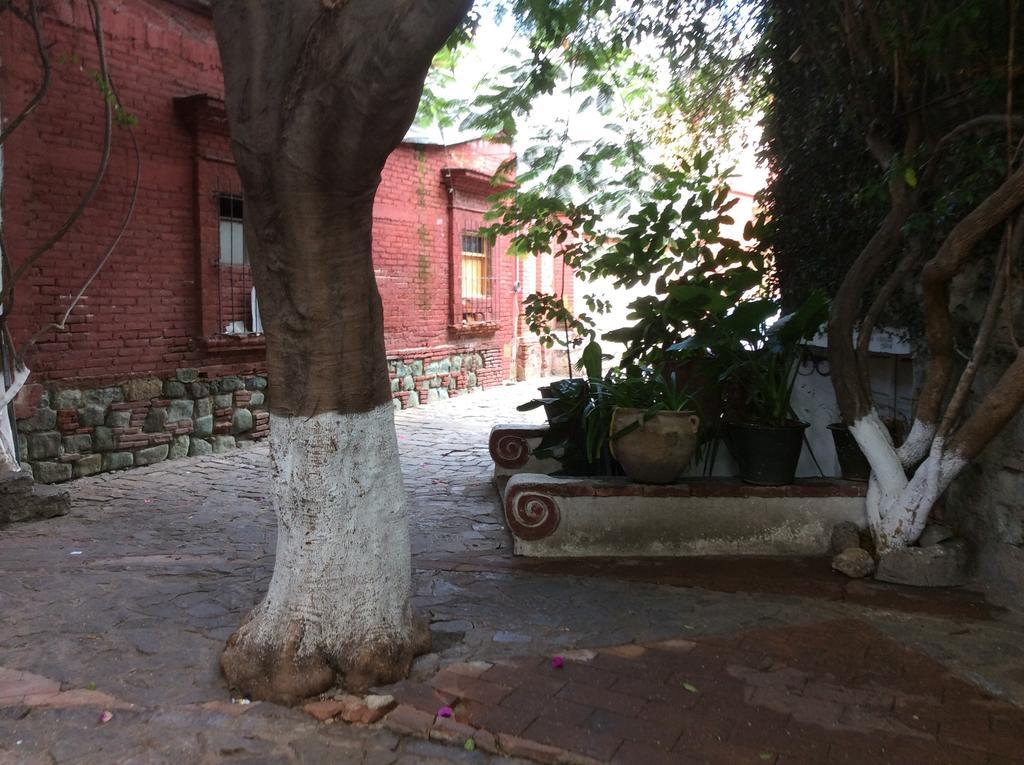 Casa Mixteca Santo Domingo Oaxaca Villa Exterior foto